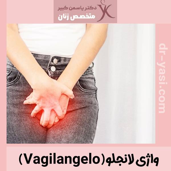 واژی لانجلو